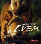 Jaké je to být lvem - kolektiv autorů, Christine Denis-Huot, Michel Denis-Huot