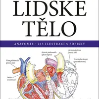 Vybarvěte si LIDSKÉ TĚLO