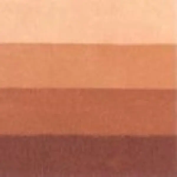 Grafická barva Charbonnel 200ml – burnt sienna