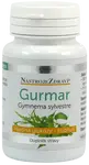 NÁSTROJE ZDRAVIA Gurmar Gymnema sylvestre 60 kapsúl