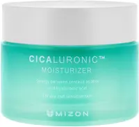MIZON Cicaluronic Moisturizer - Pleťový krém proti vráskam 50 ml