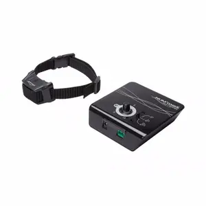 Num´axes Canifugue 2015 - pro 4 psy