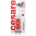 Mr & Mrs Fragrance Cesare Peppermint osviežovač vzduchu do auta 50 ml