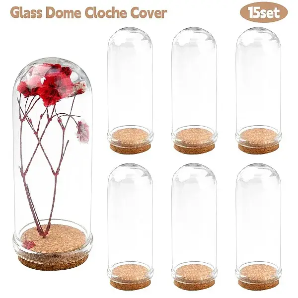 Glass Dome Cloche Cover