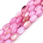 Freshwater Shell Beads Strands