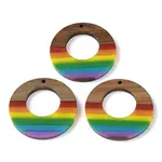 Pride Rainbow Theme Resin & Walnut Wood Pendants