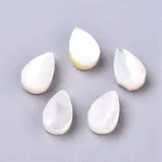 Natural Sea Shell Beads
