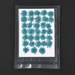 Pressed Dried Flowers