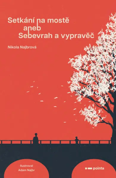 Setkání na mostě - Nikola Najbrová - e-kniha