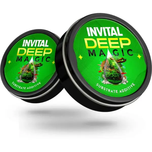 INVITAL DeepMagic 20g