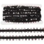 5 Yards Paillette with Glass Seed Bead Ribbons