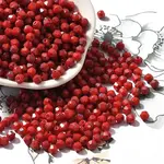 Baking Paint Glass Seed Beads