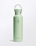 Hydro Flask Standard Mouth 21 oz (621 ml) Aloe