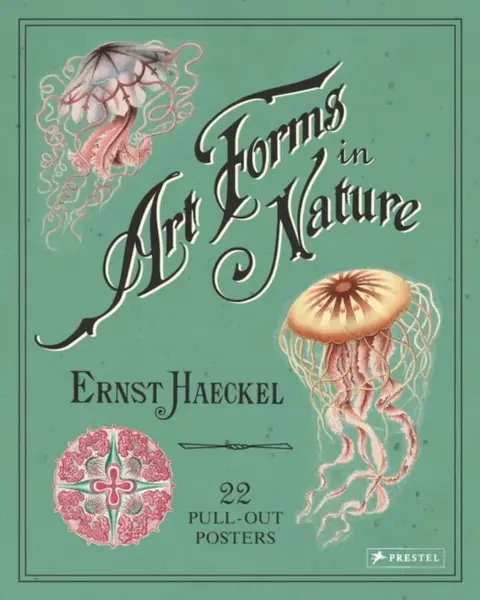 Ernst Haeckel: Art Forms in Nature: 22 Pull-Out Posters - Haeckel Ernst