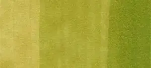 Copic classic marker – YG03 Yellow Green