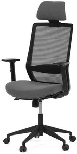 AUTRONIC Kancelářská židle KA-V3329 BK, černá síťovina