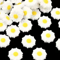 Silicone Focal Beads