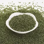 TOHO Japanese Seed Beads