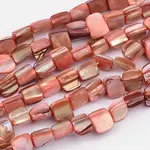 Natural Shell Beads Strands