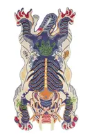 Vlnený koberec Bongusta Dragon 85 x 165 cm