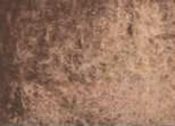 Akvarelová barva DS 15ml – 162 Burnt Tiger's Eye Genuine