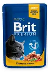 Brit Premium Cat Kapsa With Salmon & Trout 100g