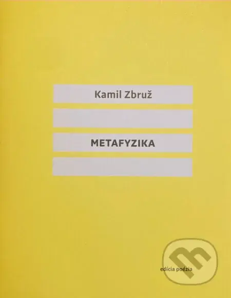 Metafyzika - Kamil Zbruž - kniha z kategorie Beletrie