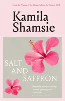 Salt and Saffron - Shamsie Kamila