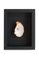 Nástěnná dekorace v rámu Maria el Mar Single Oyster 22 x 17 cm černá barva