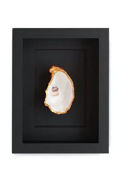 Nástěnná dekorace v rámu Maria el Mar Single Oyster 22 x 17 cm černá barva