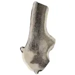 Rogy Jelení paroh půlený, Velikost: M