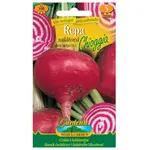 Červená repa Chiggia