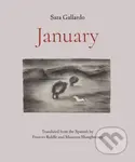 January - Sara Gallardo - kniha z kategorie Společenská beletrie