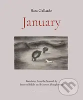 January - Sara Gallardo - kniha z kategorie Společenská beletrie