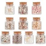 10Pcs Natural Sea Shell Conch Bead & Transparent Glass Bottle Display Decorations