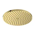 Hansgrohe Raindance S hlavová sprcha leštený vzhľad zlata 27624990