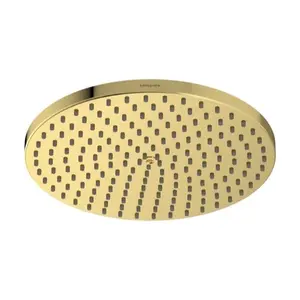 Hansgrohe Raindance S hlavová sprcha leštený vzhľad zlata 27624990