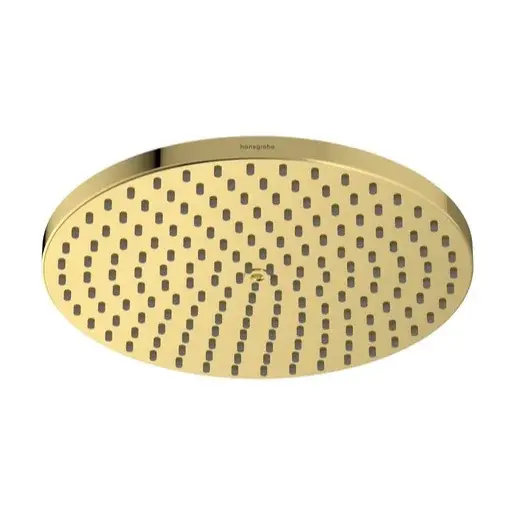 Hansgrohe Raindance S hlavová sprcha leštený vzhľad zlata 27624990