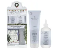 Dárková sada pro hydrataci a lesk vlasů Paul Mitchell Awapuhi Wild Ginger Hydrasoft Duo + dárek zdarma