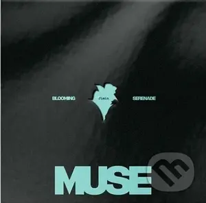 Jimin:  Muse