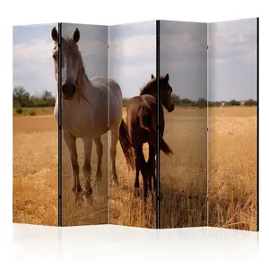 artgeist PARAVÁN