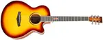 Tanglewood TWX4CE FM