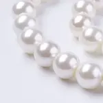 Shell Pearl Beads Strands