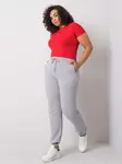 Sweatpants-RV-DR-6301.88-gray