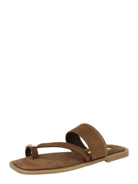STEVE MADDEN Žabky 'Ellaina'  hnedá