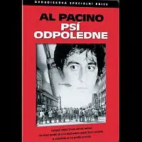 Různí interpreti – Psí odpoledne Speciální edice DVD