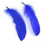 Goose Feather Costume Accessories