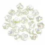 Transparent Acrylic Pendants