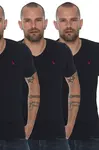 pánské tričko dewberry