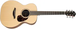 Furch Blue OM-SW CNR Active 2026